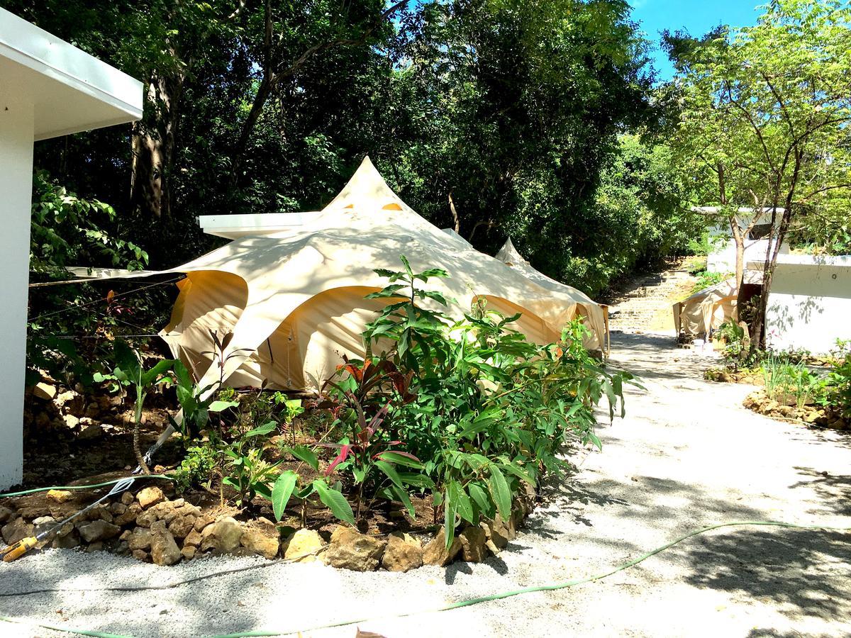 Driftwood Glamping & Boutique Hotel Playa Guiones Eksteriør billede