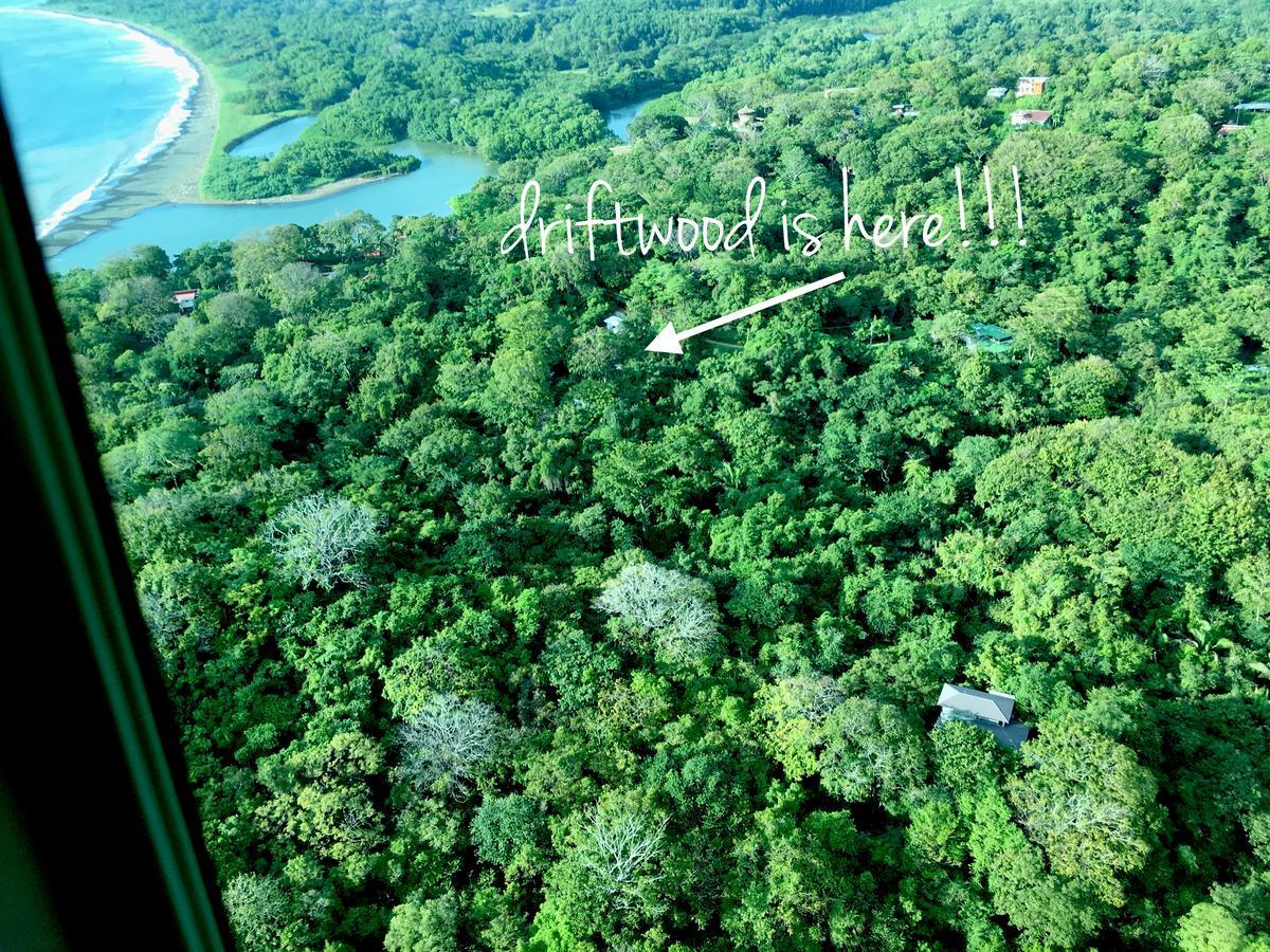 Driftwood Glamping & Boutique Hotel Playa Guiones Eksteriør billede