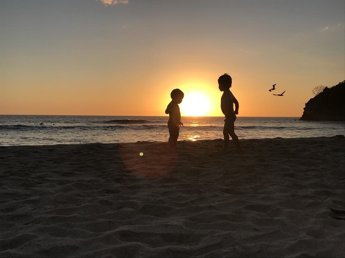 Driftwood Glamping & Boutique Hotel Playa Guiones Eksteriør billede