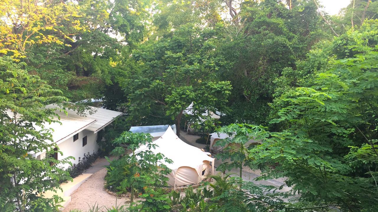 Driftwood Glamping & Boutique Hotel Playa Guiones Eksteriør billede
