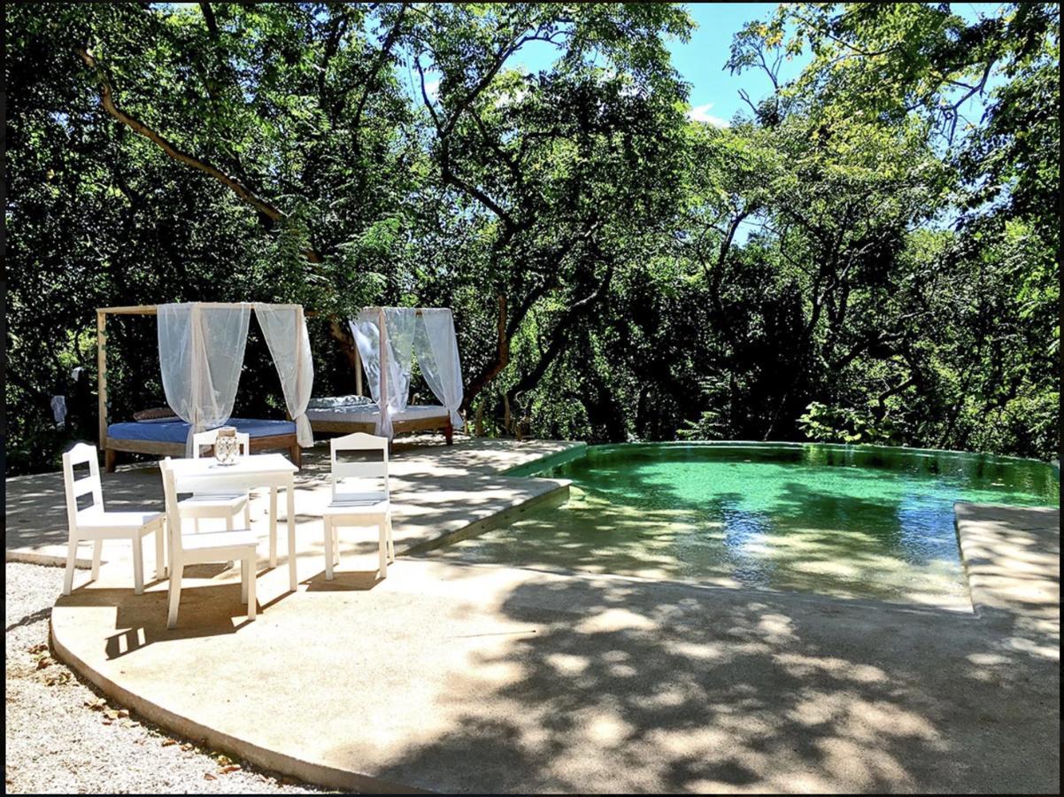 Driftwood Glamping & Boutique Hotel Playa Guiones Eksteriør billede