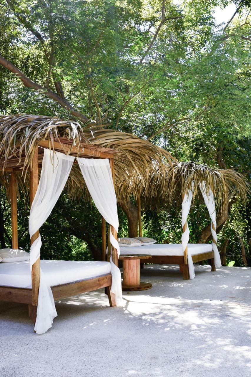 Driftwood Glamping & Boutique Hotel Playa Guiones Eksteriør billede