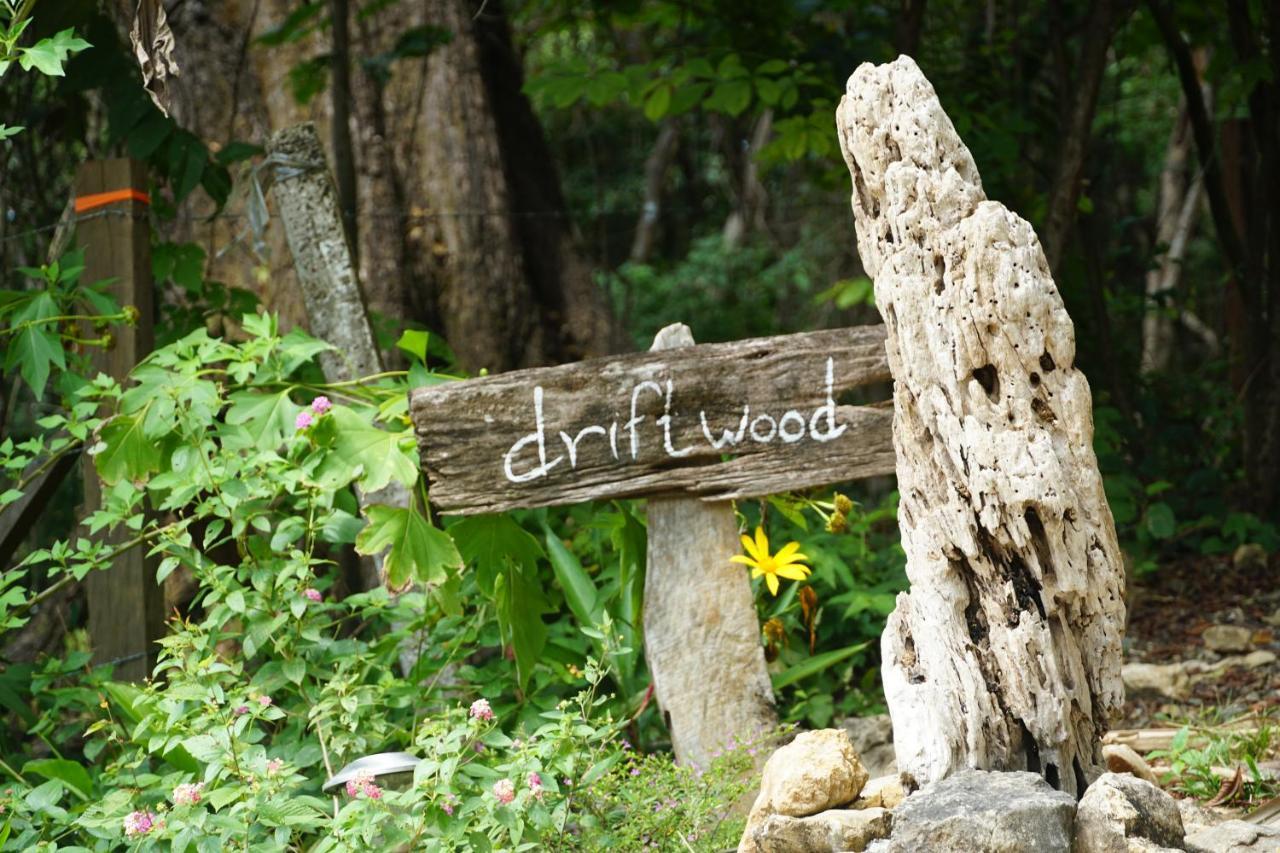Driftwood Glamping & Boutique Hotel Playa Guiones Eksteriør billede