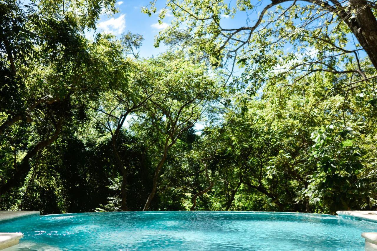 Driftwood Glamping & Boutique Hotel Playa Guiones Eksteriør billede