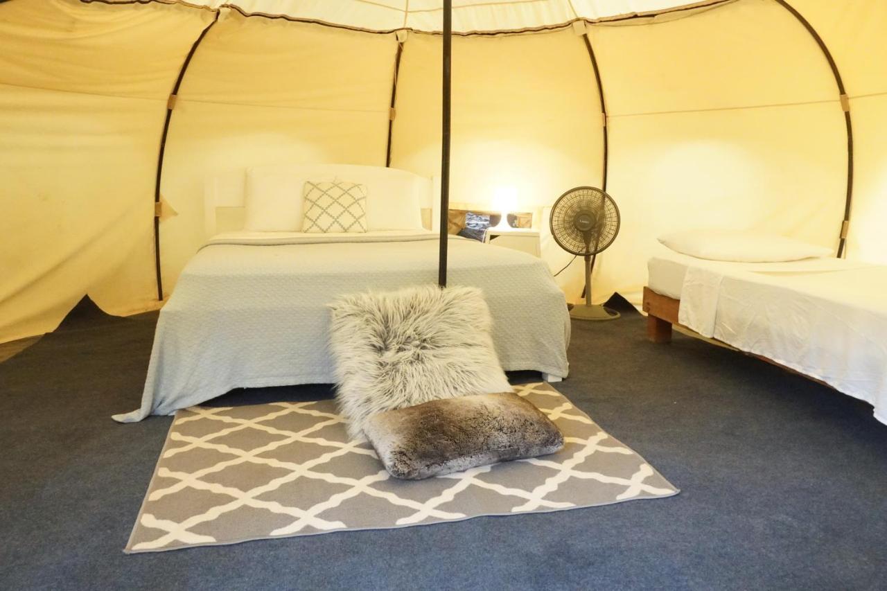 Driftwood Glamping & Boutique Hotel Playa Guiones Eksteriør billede