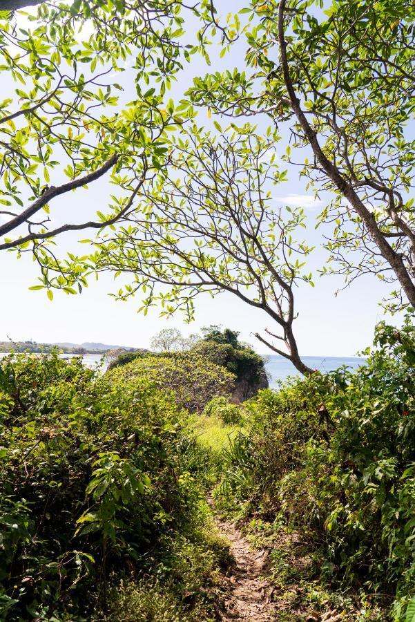 Driftwood Glamping & Boutique Hotel Playa Guiones Eksteriør billede