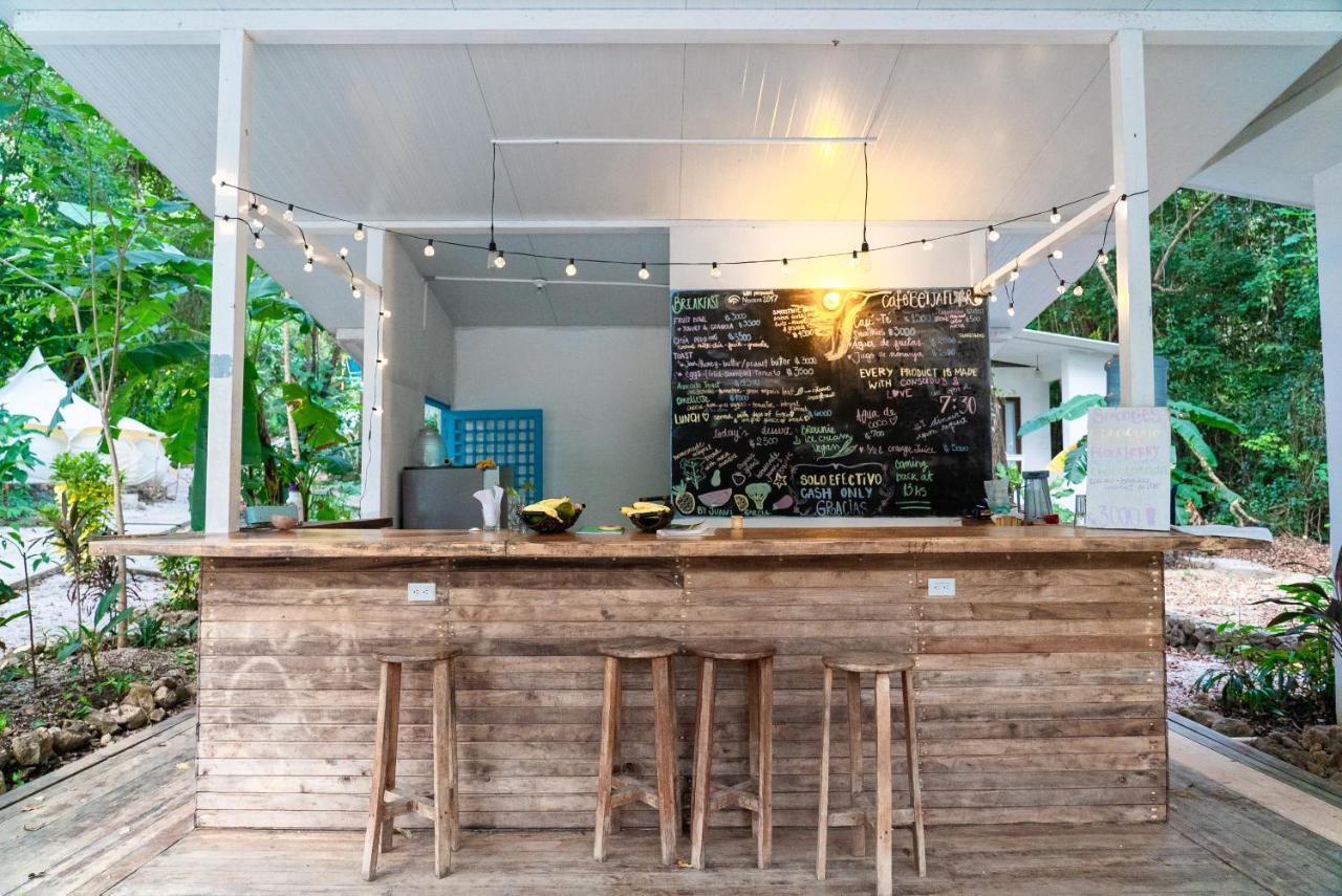 Driftwood Glamping & Boutique Hotel Playa Guiones Eksteriør billede