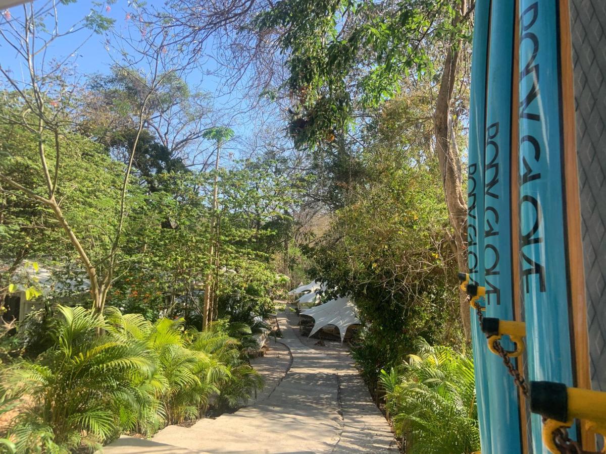 Driftwood Glamping & Boutique Hotel Playa Guiones Eksteriør billede