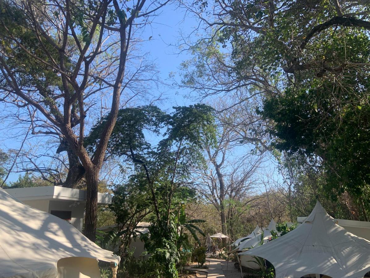 Driftwood Glamping & Boutique Hotel Playa Guiones Eksteriør billede