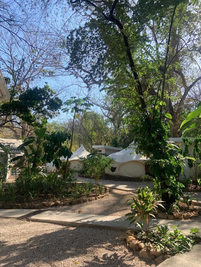 Driftwood Glamping & Boutique Hotel Playa Guiones Eksteriør billede